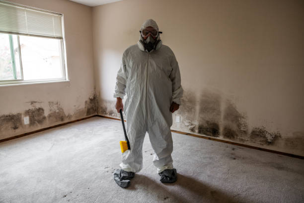 Asbestos and Lead Testing During Mold Inspection in Rushville, NE